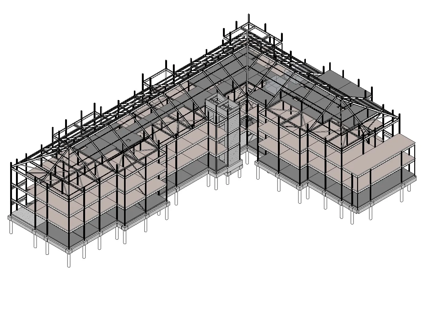 BIM